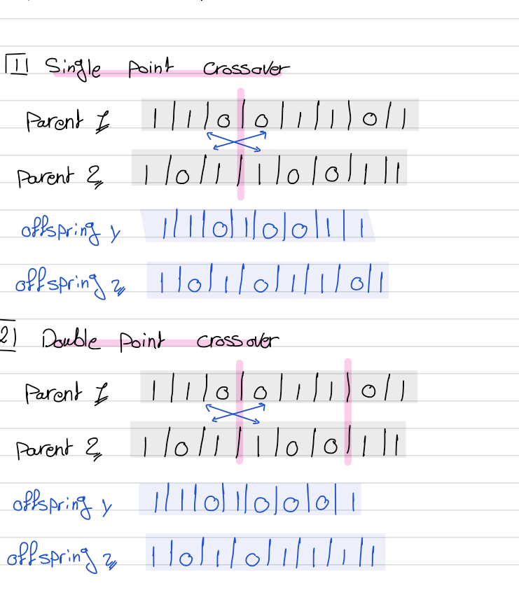 Single-point and double-point crossover on two binary parent strings
