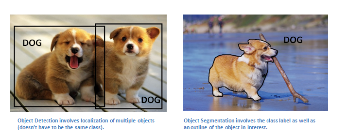 Object detection versus object segmentation on photos of dogs