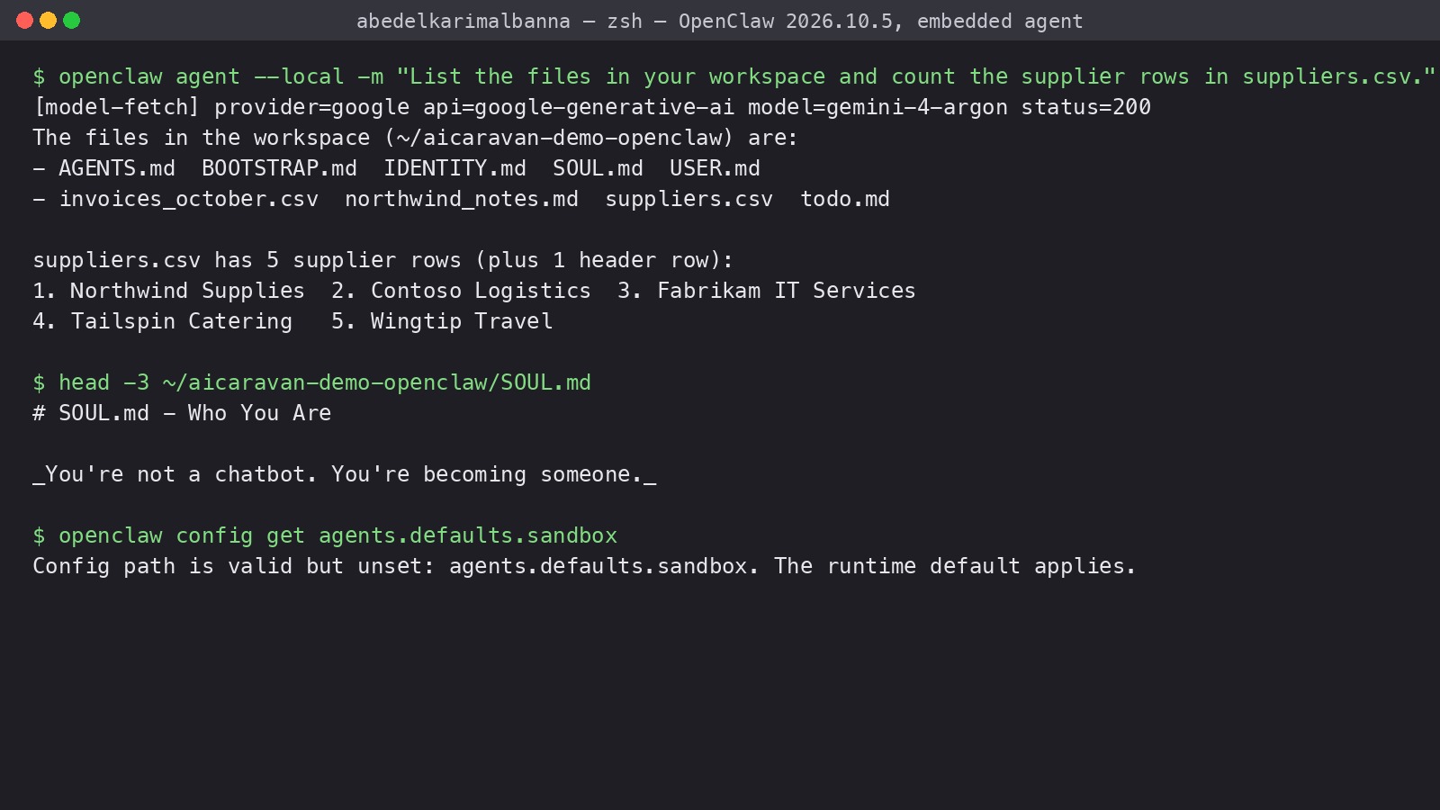 A terminal: openclaw agent --local listing the workspace files and counting five supplier rows; the head of SOUL.md; the sandbox setting unset
