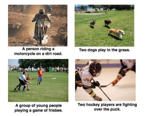 Four photos with generated captions: a person riding a motorcycle, two dogs playing in grass, people playing frisbee, hockey players