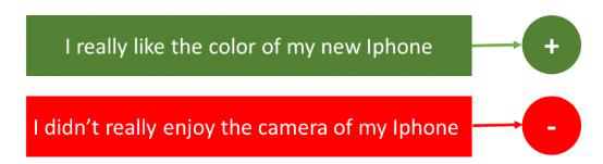 Two example sentences classified as positive and negative sentiment