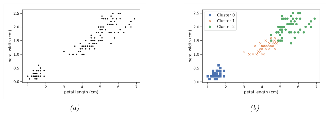 Iris petal measurements without labels, then grouped into three clusters by k-means