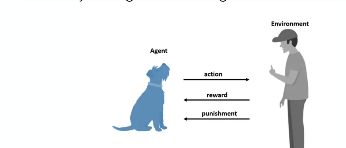 Agent (dog) acts; environment (trainer) returns reward or punishment
