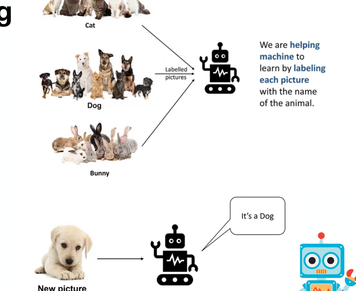 A robot is shown labelled pictures of cats, dogs and bunnies, then names a new picture